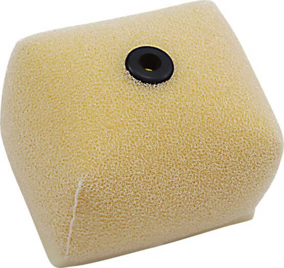Standard Air Filter