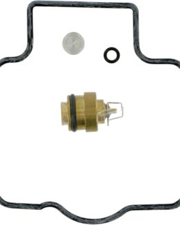 Carburetor Repair Kit