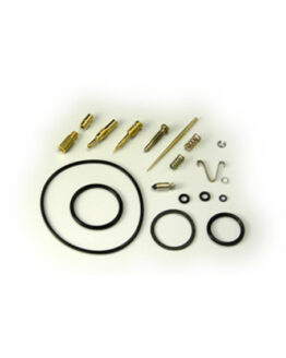 Carburetor Repair Kit