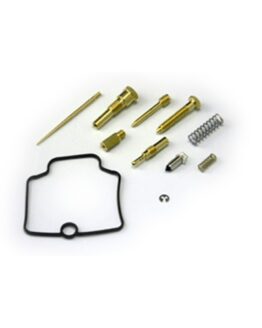 Carburetor Repair Kit