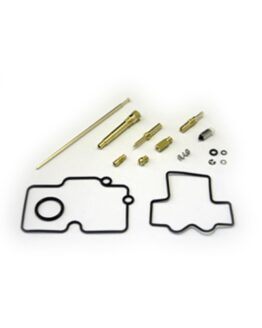 Carburetor Repair Kit