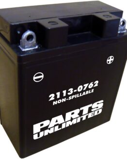 Conventional Battery 12V 5Ah Factory Activated