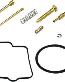 Carburetor Repair Kit