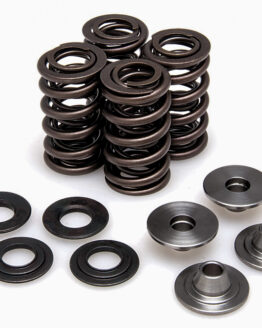 Racing Valve Spring Kit