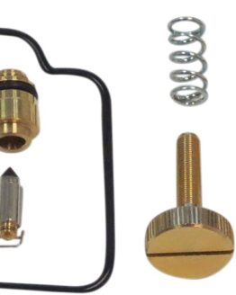 Carburetor Repair Kit