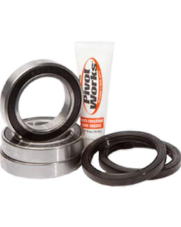 Rear Wheel Bearing Kit