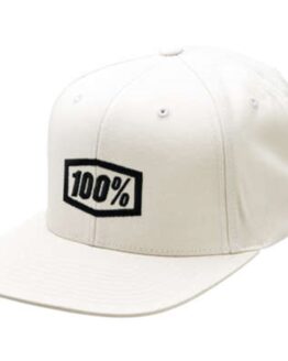 100% Icon Hat Silgry
