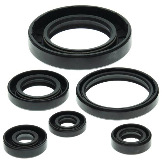 Vertex Engine Oil Seal Kit 822204