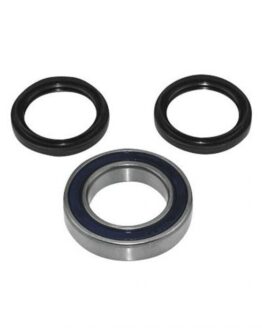 Wheel Bearing & Seal Kit