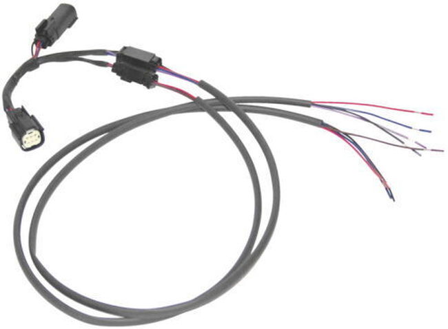 10114_c51fdeb4.jpg 10114_c51fdeb4.jpg