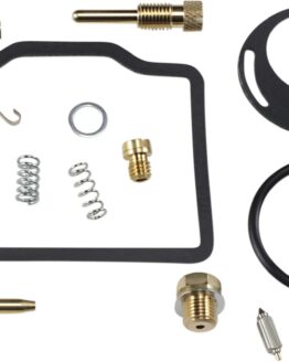 Carburetor Repair Kit