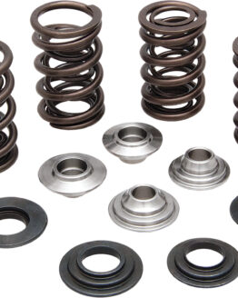 Valve Spring Kit