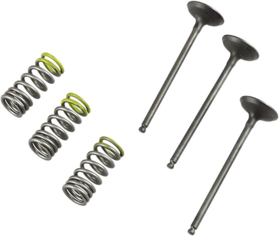 Steel Intake Valve/Spring Kit - Image 2