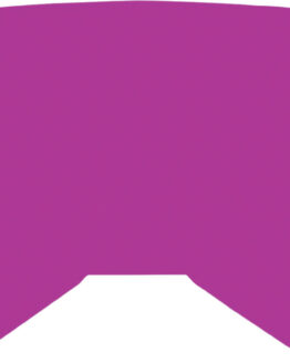 Replacement Pink Mirror/Smoke Lens w/ Posts For Youth Zone/Focus Goggle