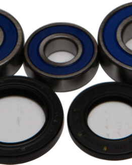 Rear Wheel Bearing & Seal Kit