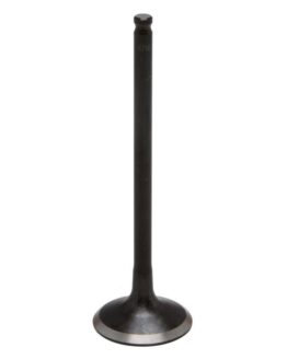 Intake Valve