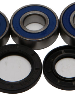 All Balls Rear Wheel Bearing & Seal Kit