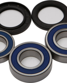 Rear Wheel Bearing Kit