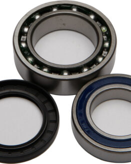 Wheel Bearing & Seal Kit