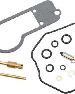 Carburetor Repair Kit