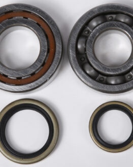 Crankshaft Bearing & Seal Kit