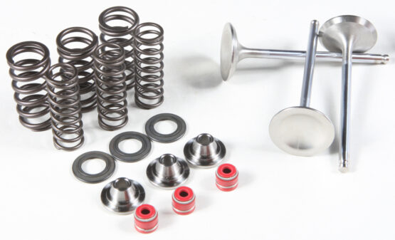 Intake Valve Spring Kit