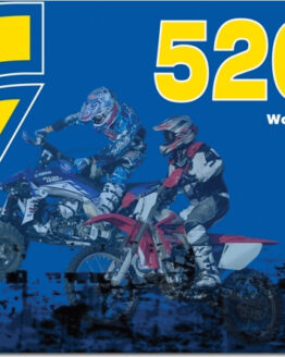 XTG Sealed Chain 520X100 Gold