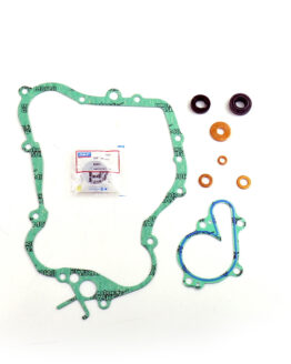 Water Pump Repair Kit