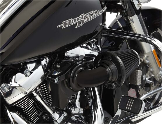 Black Monster Sucker Air Cleaner Kit - Arlen Ness - Image 2
