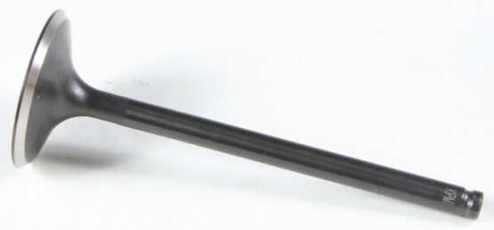 Black Diamond Intake Valve