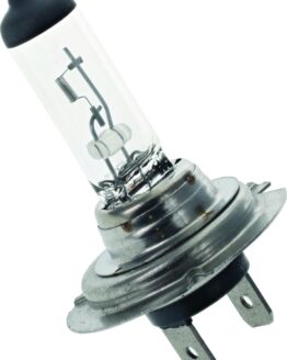 BikeMaster H-7 Halogen Bulb