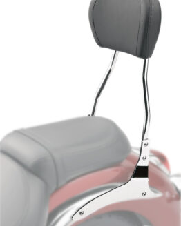 Round 17" Sissy Bar Chrome
