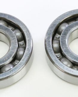Crankshaft Bearing & Seal Kit