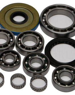 Differential Bearing & Seal Kit