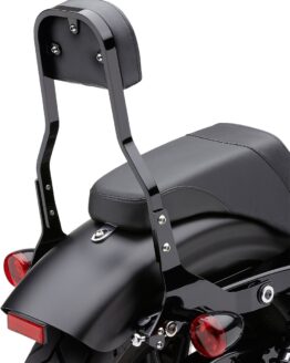 Detachable Backrests