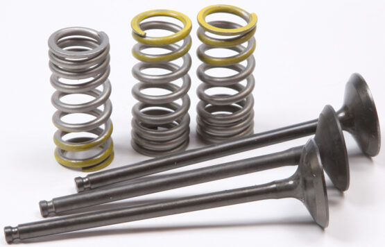 Steel Intake Valve/Spring Kit