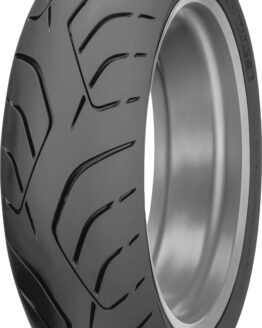 Roadsmart III Rear Tire 180/55ZR17 73W Radial TL