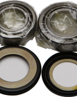 Starcycle 22-1009 Steering Stem Bearing & Seal Kit