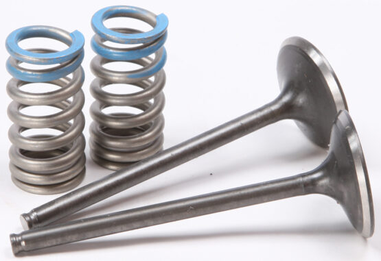 Steel Intake Valve/Spring Kit