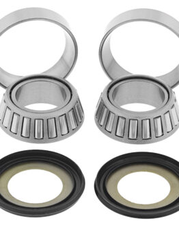 Steering Head Bearing & Seal Kit