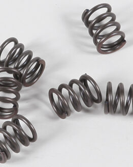 CSK Series Clutch Springs +15%