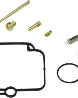 Carburetor Repair Kit