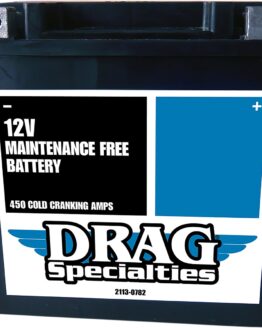 AGM Maintenance Free Battery YIX30LBSFT