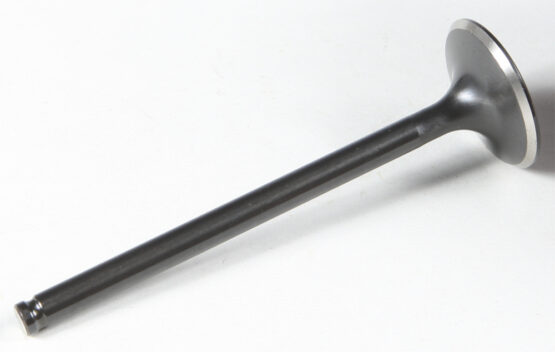 Black Diamond Exhaust Valve