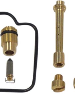 Carburetor Repair Kit