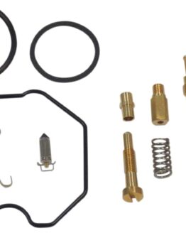 Carburetor Repair Kit