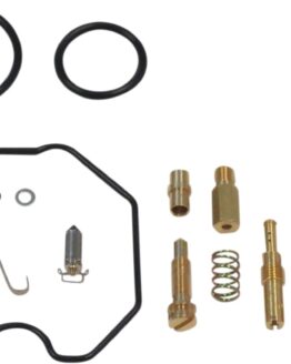 Carburetor Repair Kit