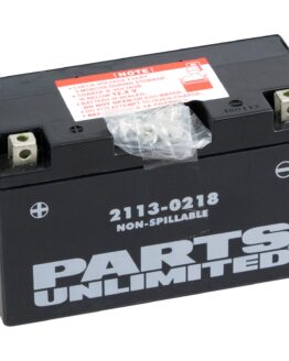 AGM Maintenance Free Battery 120CCA 12V 6.5Ah Factory Activated