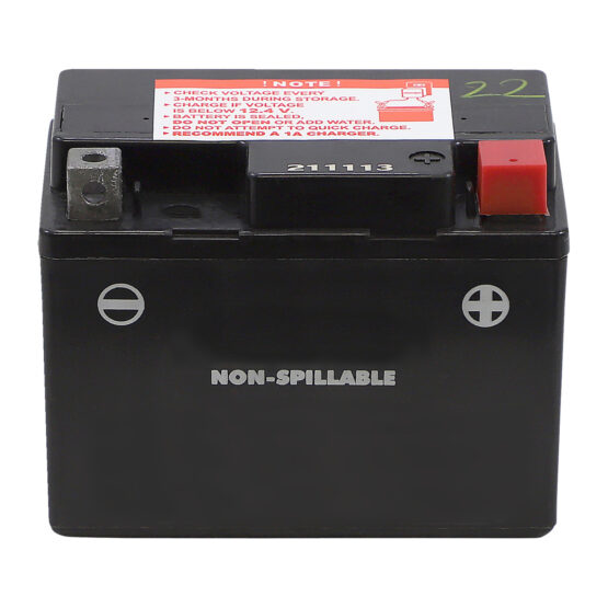 AGM Maintenance Free Battery