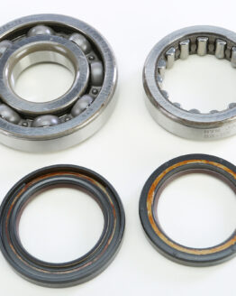 Crankshaft Bearing & Seal Kit